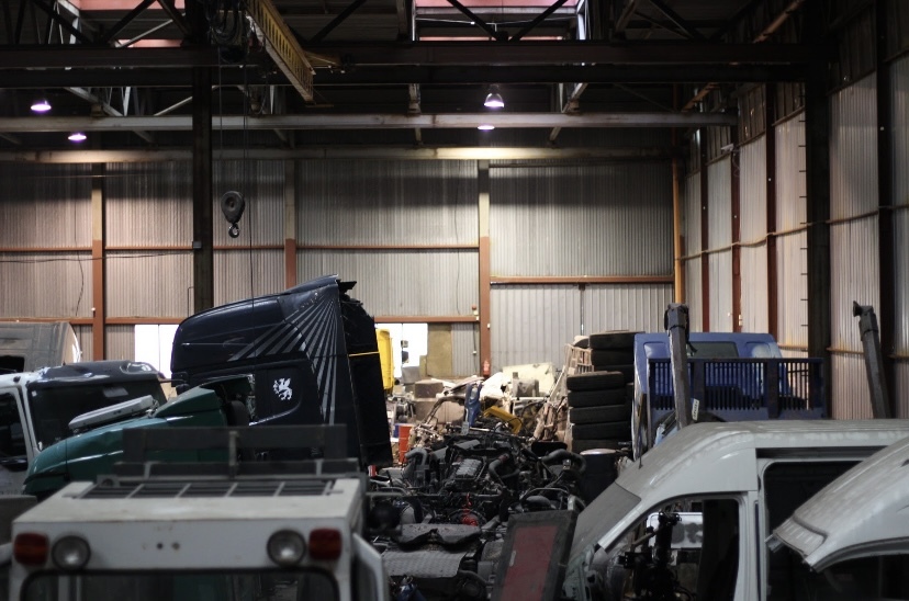 EGDA truckparts - Onderdelen IVECO - Jaar: 2021 undefined: afbeelding 7