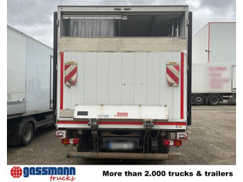 Koelwagen vrachtwagen Mercedes-Benz Atego 816 4x2, Kühlkoffer, Trennwand,: afbeelding 5 Koelwagen vrachtwagen Mercedes-Benz Atego 816 4x2, Kühlkoffer, Trennwand,: afbeelding 5