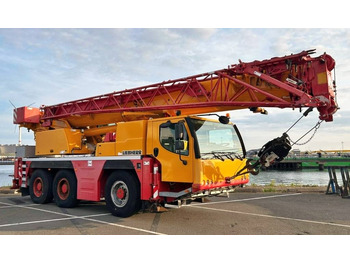 Alle terrein kraan LIEBHERR LTM 1050-3.1