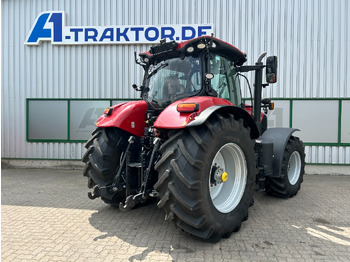 Leasing Case Puma 185 CVX Case Puma 185 CVX: afbeelding 2