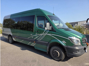 Minibus MERCEDES-BENZ Sprinter 516