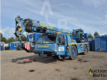 Alle terrein kraan TEREX
