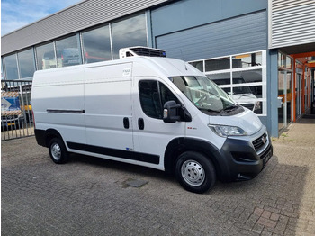 Koelwagen FIAT Ducato Maxi