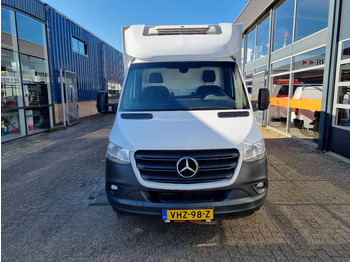 Koelwagen Mercedes-Benz Sprinter 316 CDI Kuhlkoffer Thermoking V300MAX Euro 6D 230V: afbeelding 2