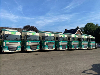 Trekker DAF XF 105 410