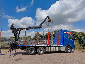 Houttransport VOLVO FH 500