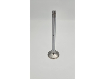 Motor en onderdelen LIEBHERR