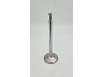 Motor en onderdelen LIEBHERR