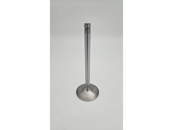 Motor en onderdelen LIEBHERR