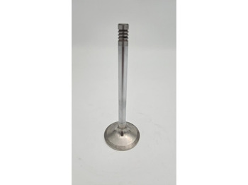 Motor en onderdelen LIEBHERR