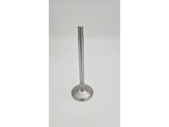 Motor en onderdelen LIEBHERR