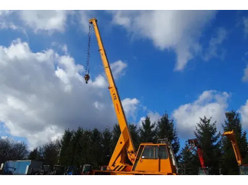 Mobiele kraan DEMAG