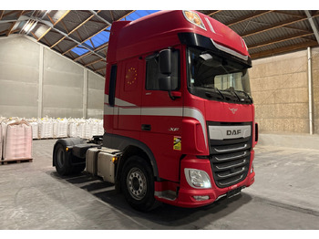 Trekker DAF DAF XF 480 SSC: afbeelding 2