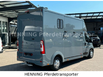 Paardenvrachtwagen Peugeot Boxer 3-Sitzer *NEUWAGEN* 1000 KG NUTZLAST: afbeelding 3 Paardenvrachtwagen Peugeot Boxer 3-Sitzer *NEUWAGEN* 1000 KG NUTZLAST: afbeelding 3
