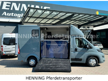 Paardenvrachtwagen Peugeot Boxer 3-Sitzer *NEUWAGEN* 1000 KG NUTZLAST: afbeelding 4 Paardenvrachtwagen Peugeot Boxer 3-Sitzer *NEUWAGEN* 1000 KG NUTZLAST: afbeelding 4