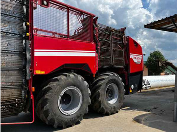 Bietenrooier Grimme REXOR 6300 Platinum: afbeelding 2