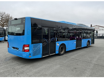 Stadsbus MAN A 21 Lion´s City: afbeelding 3