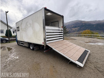 Veewagen vrachtwagen 2004 Iveco Eurocargo hestebil: afbeelding 4 Veewagen vrachtwagen 2004 Iveco Eurocargo hestebil: afbeelding 4