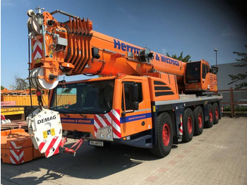 Alle terrein kraan DEMAG