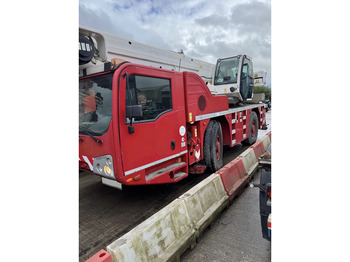 Alle terrein kraan TEREX
