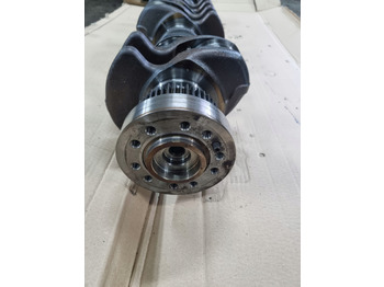 Krukas voor Vrachtwagen DEUTZ WAŁ KORBOWY VOLVO FL FE RENAULT MIDLUM PREMIUM DXI 7 D7F: afbeelding 5 Krukas voor Vrachtwagen DEUTZ WAŁ KORBOWY VOLVO FL FE RENAULT MIDLUM PREMIUM DXI 7 D7F: afbeelding 5