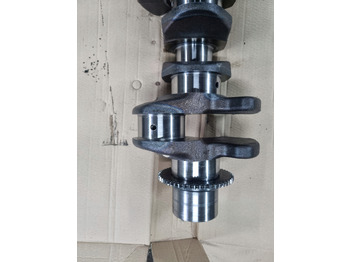 Krukas voor Vrachtwagen DEUTZ WAŁ KORBOWY VOLVO FL FE RENAULT MIDLUM PREMIUM DXI 7 D7F: afbeelding 4 Krukas voor Vrachtwagen DEUTZ WAŁ KORBOWY VOLVO FL FE RENAULT MIDLUM PREMIUM DXI 7 D7F: afbeelding 4