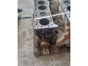 Cilinderblok voor Vrachtwagen RENAULT PREMIUM DXI 11 410 450 1002035 Renault PREMIUM 410 450: afbeelding 3 Cilinderblok voor Vrachtwagen RENAULT PREMIUM DXI 11 410 450 1002035 Renault PREMIUM 410 450: afbeelding 3