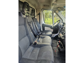 Leasing Fiat Ducato 10 Europallets Fiat Ducato 10 Europallets: afbeelding 4 Leasing Fiat Ducato 10 Europallets Fiat Ducato 10 Europallets: afbeelding 4