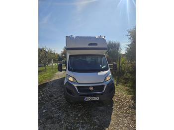 Leasing Fiat Ducato 10 Europallets Fiat Ducato 10 Europallets: afbeelding 3 Leasing Fiat Ducato 10 Europallets Fiat Ducato 10 Europallets: afbeelding 3