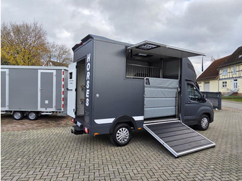 Paardenvrachtwagen MSG Stablehopper Pferdetransporter Pferdeanhänger Böckmann: afbeelding 2