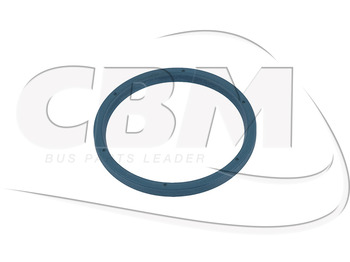 Stuurinrichting IRISBUS