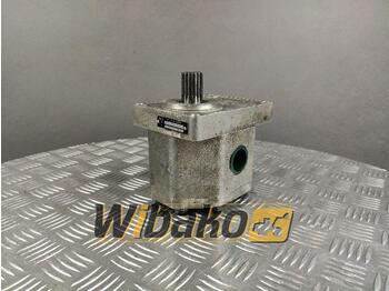 Hydraulische pomp
