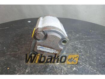 Hydraulische pomp