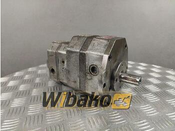 Hydraulische pomp