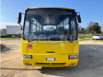 Schoolbus Iveco Cacciamali: afbeelding 2