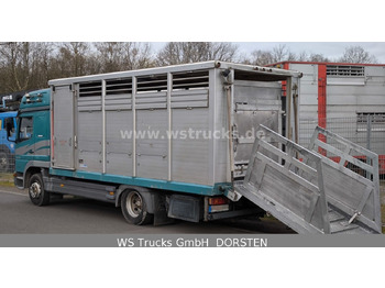 Paardenvrachtwagen Mercedes-Benz Atego 1223  1 Stock Hohe Gitter  !SEHR GEPFLEGT!: afbeelding 5