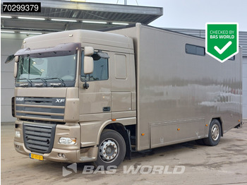 Paardenvrachtwagen DAF XF 105 410
