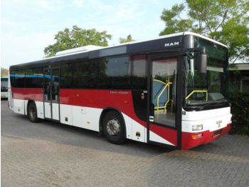 Stadsbus MAN A72 SUE 313 Lion (5 x): afbeelding 1