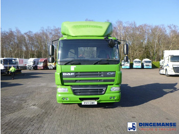 Trekker DAF CF 75.310 4x2 RHD: afbeelding 5