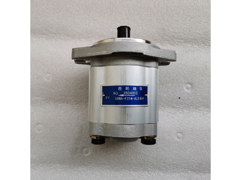 Hydraulische pomp
