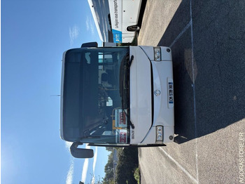 Schoolbus IVECO Crossway