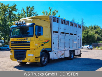 Veewagen vrachtwagen DAF XF