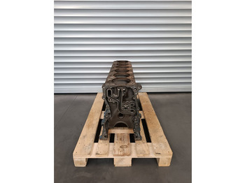 Cilinderblok RENAULT Premium