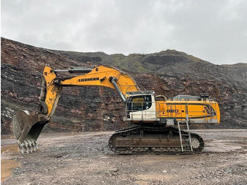 Graafmachine LIEBHERR