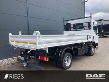 Kipper vrachtwagen DAF XB 210 FA 7,49to Meiller DSK Typ 3 XB 210 FA 7,4: afbeelding 4