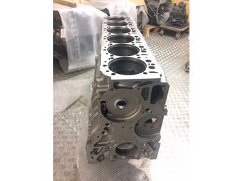 Carter BASAMENTO MAN D2876LUE623 / D2876LOH20 / D2876LOH21: afbeelding 3 Carter BASAMENTO MAN D2876LUE623 / D2876LOH20 / D2876LOH21: afbeelding 3