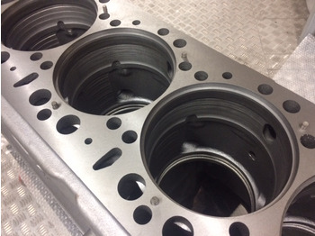 Carter BASAMENTO MAN D2876LUE623 / D2876LOH20 / D2876LOH21: afbeelding 5 Carter BASAMENTO MAN D2876LUE623 / D2876LOH20 / D2876LOH21: afbeelding 5