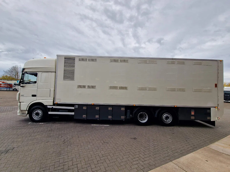 DAF XF 440 SuperSpaceCab 6x2*4 - 2 deck Closed Livestock - 40M2 - Filtersystem - Veewagen vrachtwagen: afbeelding 4 DAF XF 440 SuperSpaceCab 6x2*4 - 2 deck Closed Livestock - 40M2 - Filtersystem - Veewagen vrachtwagen: afbeelding 4