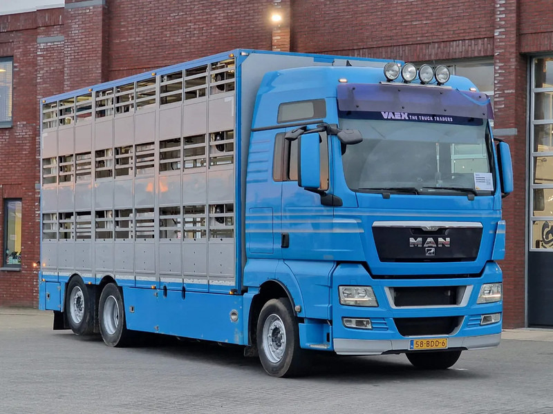 MAN TGX 26.440 6x2*4 - 3 deck Livestock - Water & Ventilation - Manual gearbox - Steering axle - Veewagen vrachtwagen: afbeelding 2 MAN TGX 26.440 6x2*4 - 3 deck Livestock - Water & Ventilation - Manual gearbox - Steering axle - Veewagen vrachtwagen: afbeelding 2