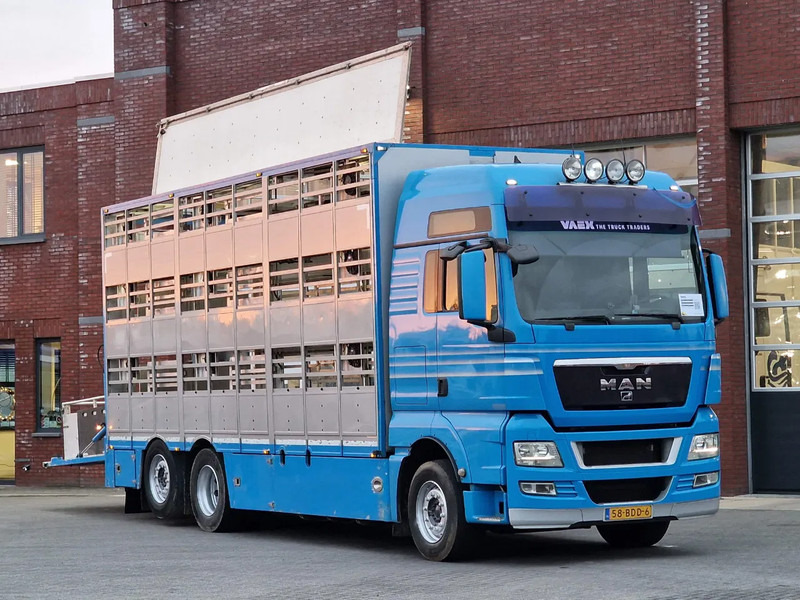 MAN TGX 26.440 6x2*4 - 3 deck Livestock - Water & Ventilation - Manual gearbox - Steering axle - Veewagen vrachtwagen: afbeelding 1 MAN TGX 26.440 6x2*4 - 3 deck Livestock - Water & Ventilation - Manual gearbox - Steering axle - Veewagen vrachtwagen: afbeelding 1